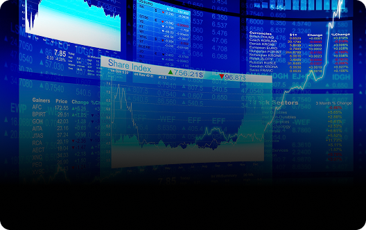 Investment Chart
